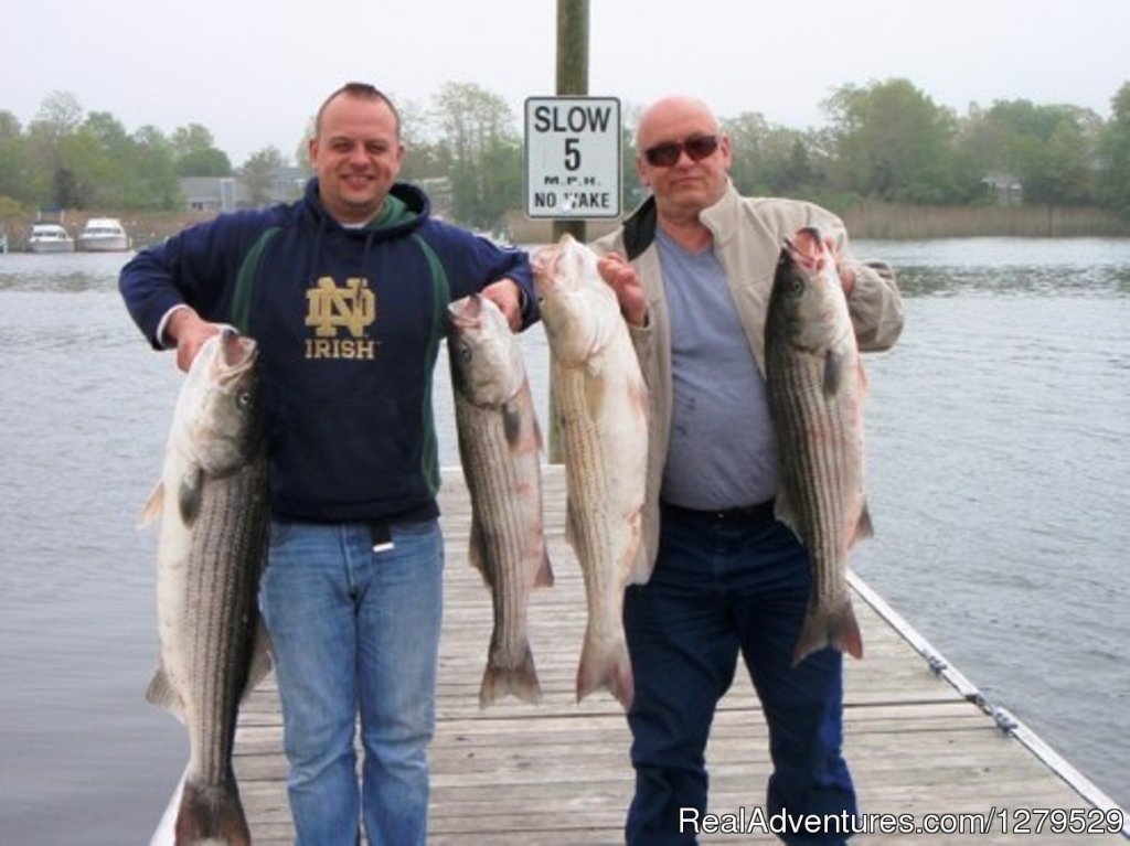 Nice Limit Of Stripers | D.C. Outdoor Adventures | Image #11/26 | 