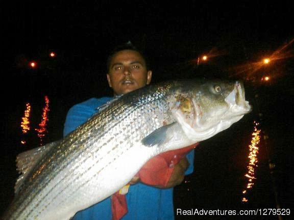 Kostas Nice Cow Bass | D.C. Outdoor Adventures | Image #20/26 | 