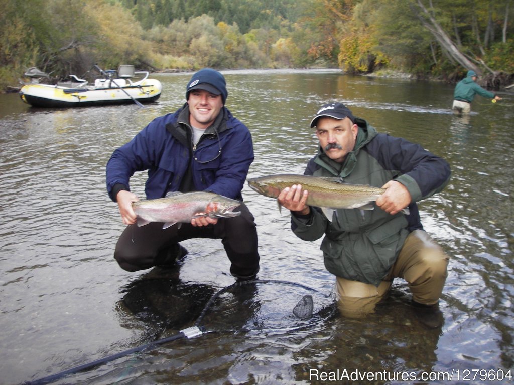 wild steelhead | Trinity River Adventures | Lewiston, California  | Fishing Trips | Image #1/1 | 