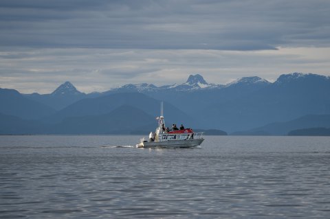 Covered Boat