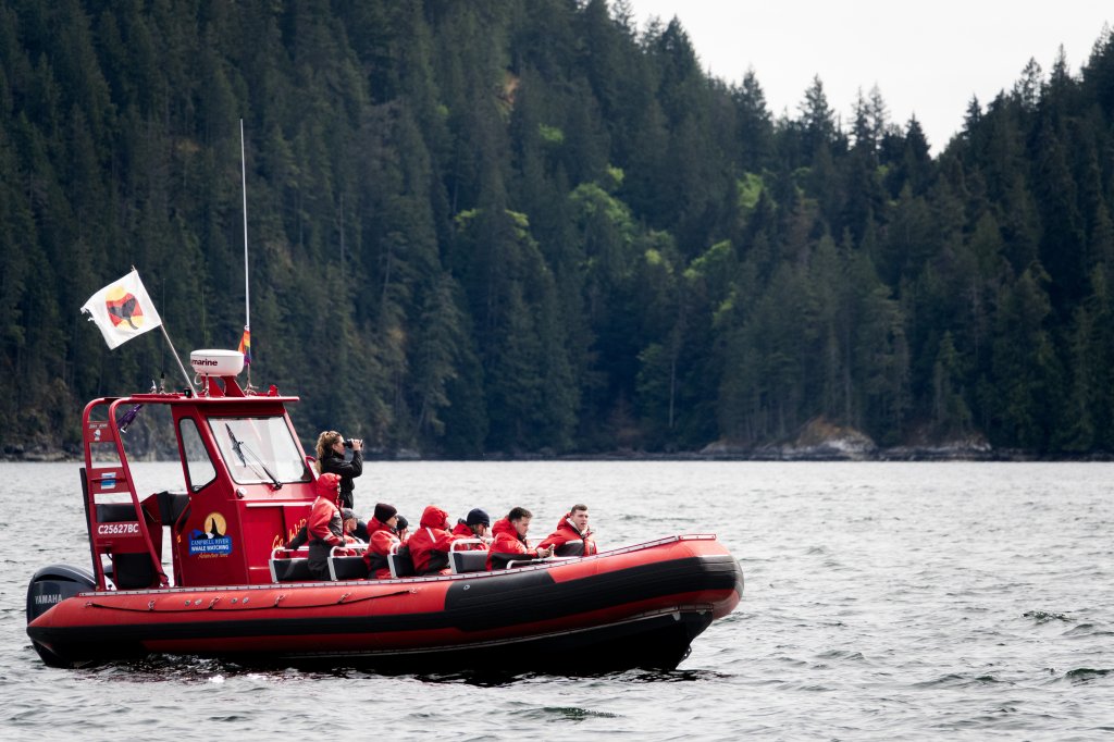 Zodiac | Campbell River Whale Watching & Adventure Tours | Image #4/9 | 