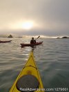 Trinidad Kayak Tour | Eureka, California