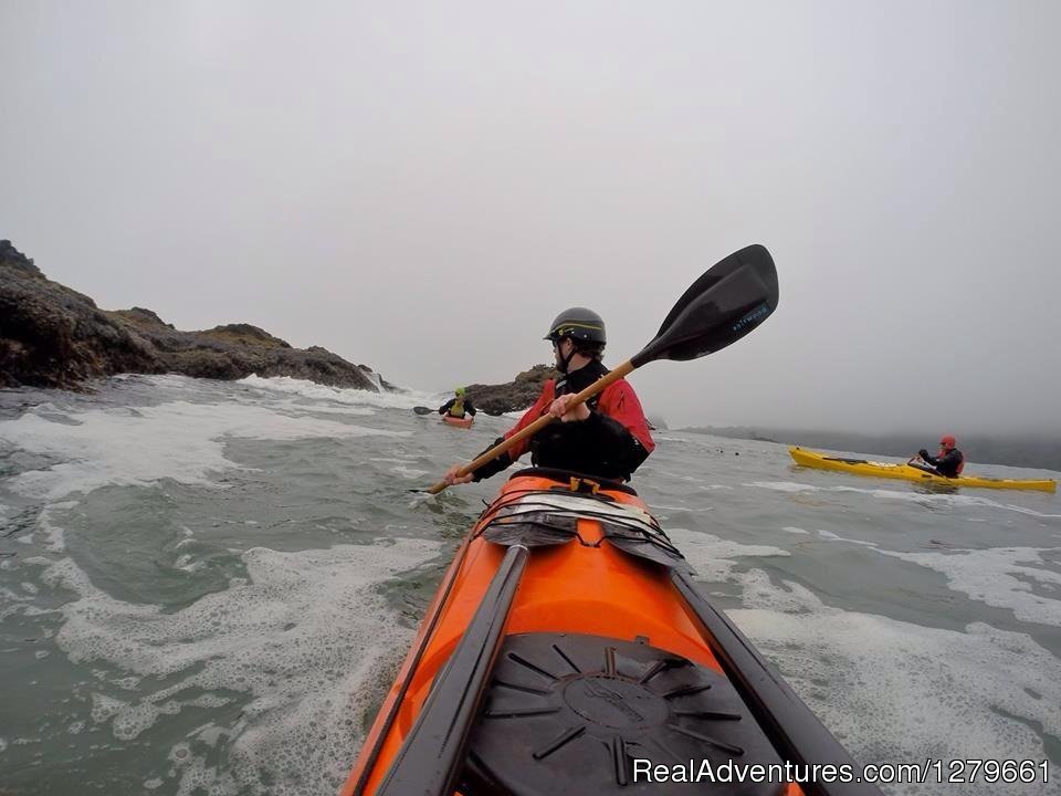 Trinidad Kayak Tour | Image #5/6 | 