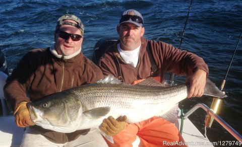 49.5 Inch Striper