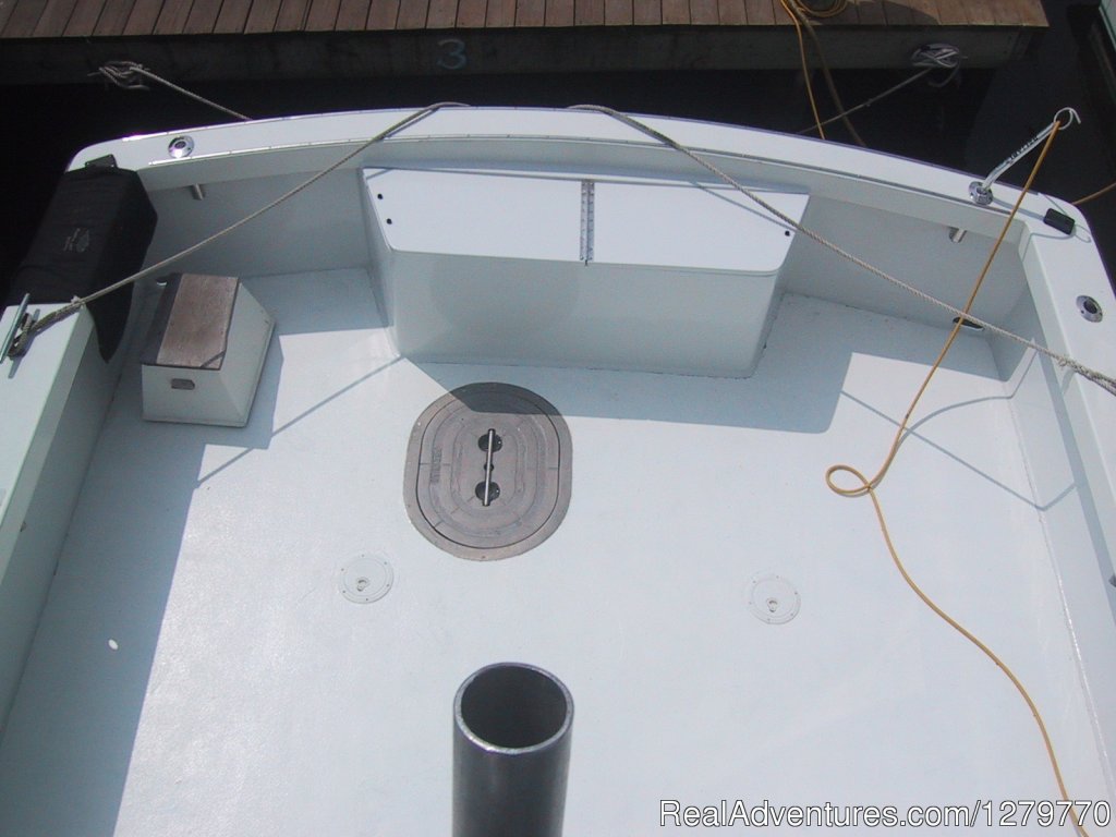 48' Henriques giant cockpit | Purple Jet Charter Sportfishing Fleet | Image #24/26 | 