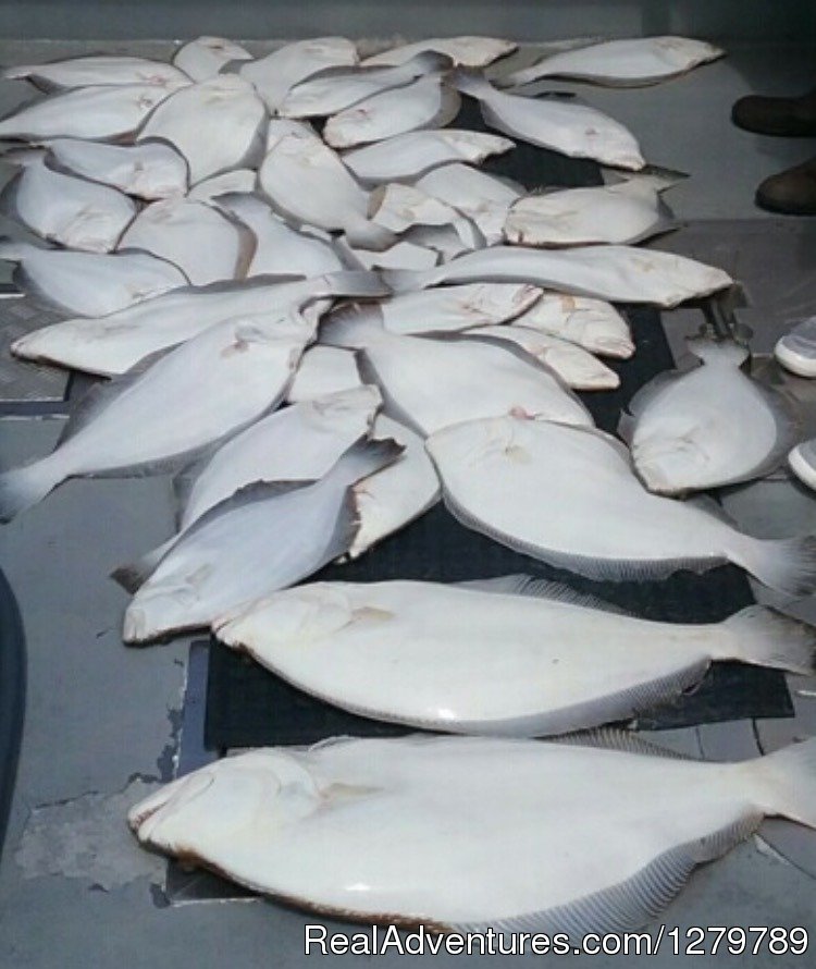 Jumbo Ocean Fluke to 12.6 lbs | Down Deep Sport Fishing Fleet | Image #18/20 | 