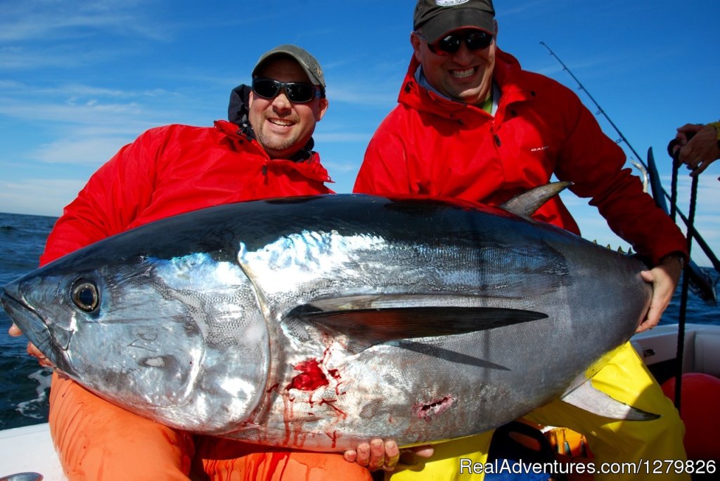 Large Striped Bass Caught On Reel Deal Fishing Charter | Reel Deal Fishing Charters | Image #2/4 | 