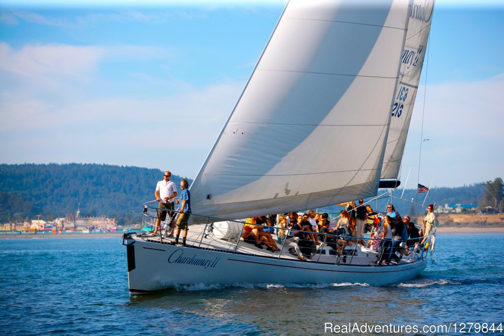 Chardonnay Sailing Charters | Image #2/7 | 