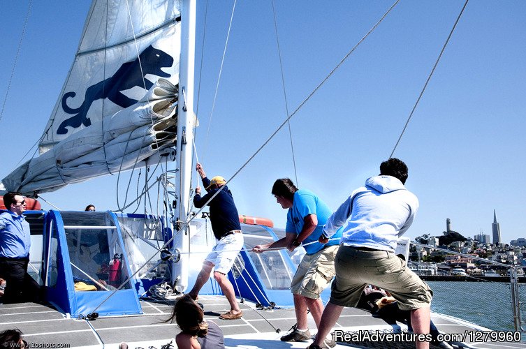 Adventure Cat Sailing Charters | Image #4/4 | 