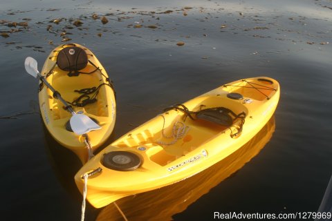 Kayak Still Life