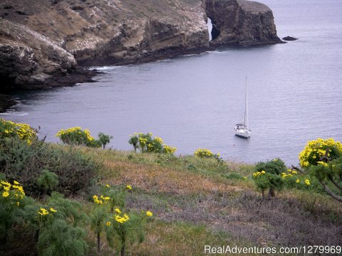 Sancerre at Santa Barbara Island