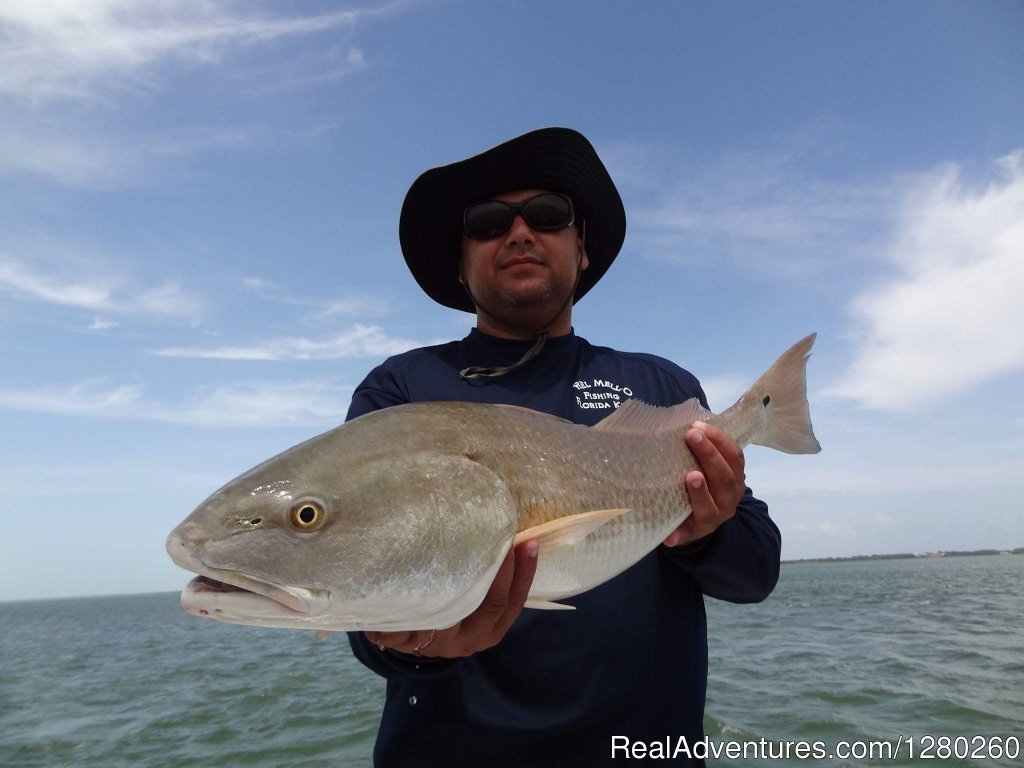 That's a Redfish | Reel Mell-O Sportfishing | Image #3/4 | 