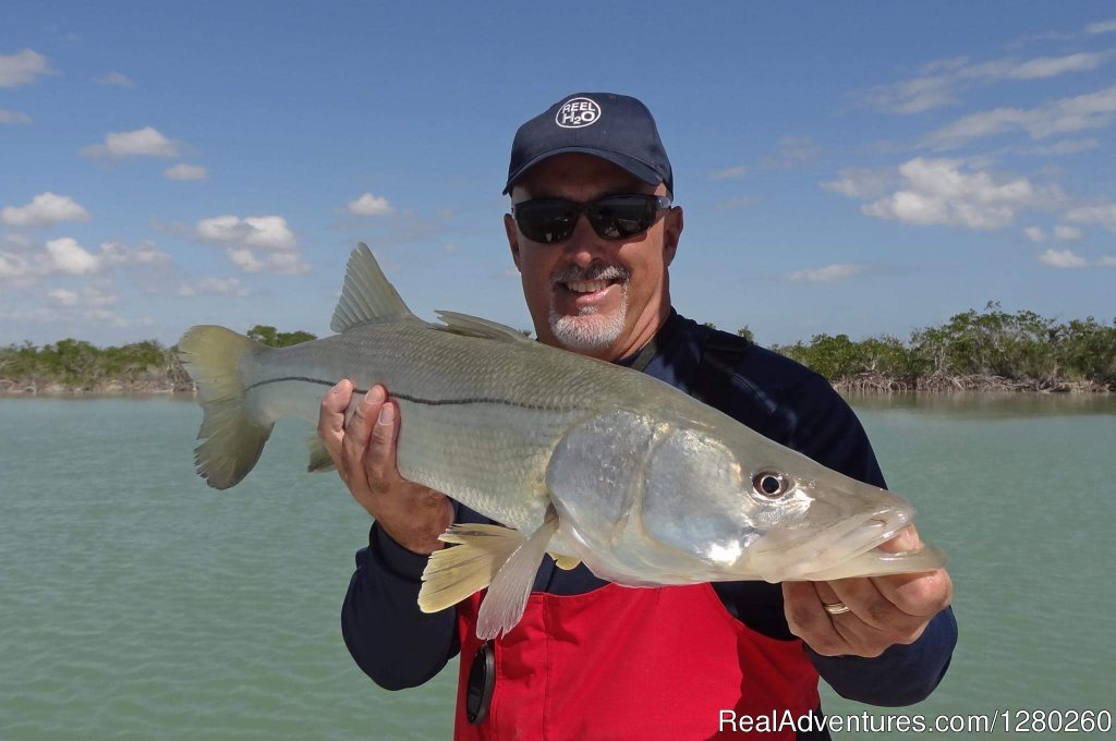 Snook | Reel Mell-O Sportfishing | Image #4/4 | 