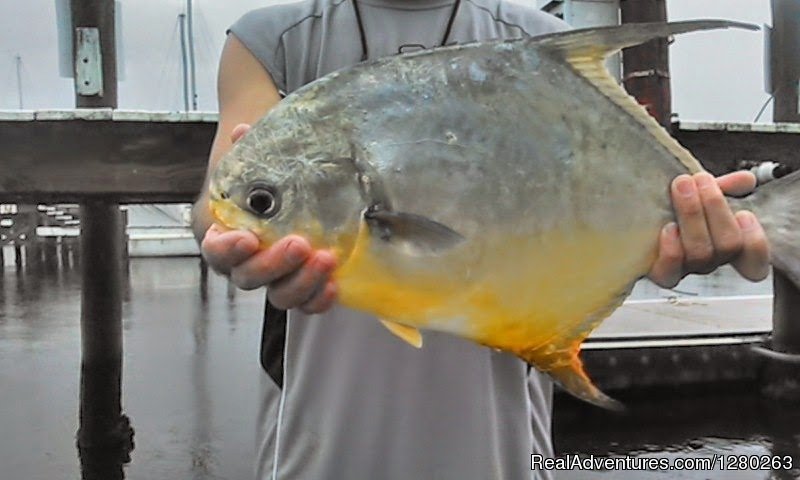 Pompano | Florida Fishing Charters | Image #5/14 | 