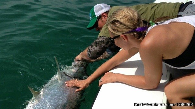 Huge tarpon release | Flats/backcountry Fishing Guide Fly & Spin | Islamorada, Florida  | Fishing Trips | Image #1/4 | 