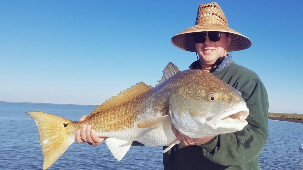 Louisiana Bull Red | South Louisiana Red Fishing Charters | Image #12/21 | 