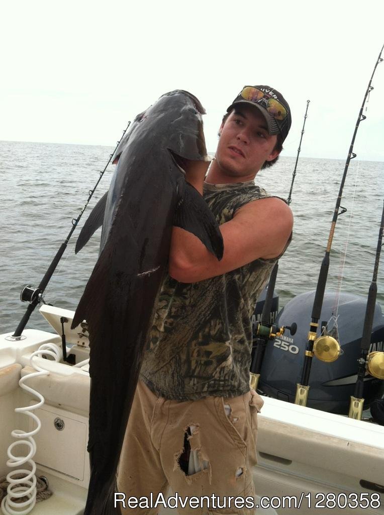 Cobia Run | Reel Screamers Guide Service | Image #2/4 | 