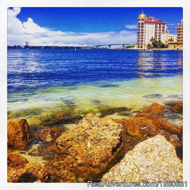 Sarasota Bay Front | Sarasota Bike Tours | Sarasota, Florida  | Bike Tours | Image #1/7 | 