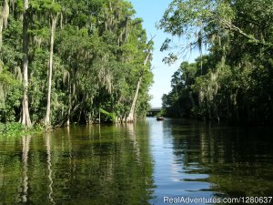 Premier Boat Tours | Mount Dora, Florida | Cruises