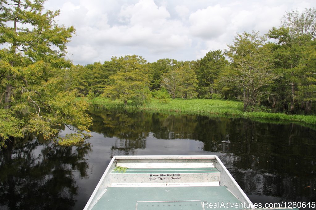 Cypress Trees Area | Midway Airboat Rides on St. Johns River | Image #3/15 | 