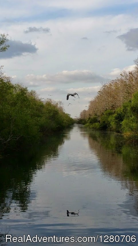 Air Boat USA | Image #16/16 | 