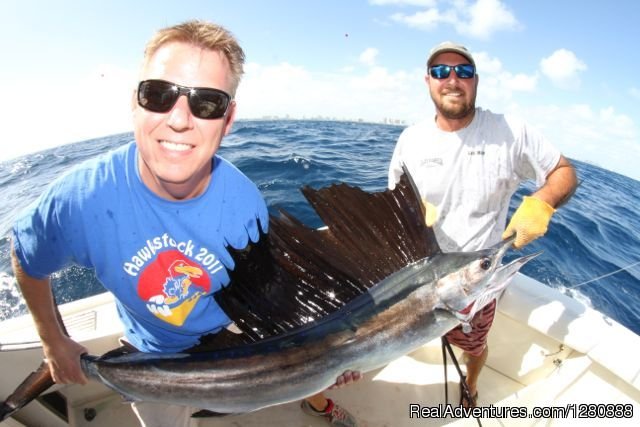 Sailfish Caught kite fishing | Lady Pamela 2 Sportfishing & Boat Rentals | Image #3/14 | 