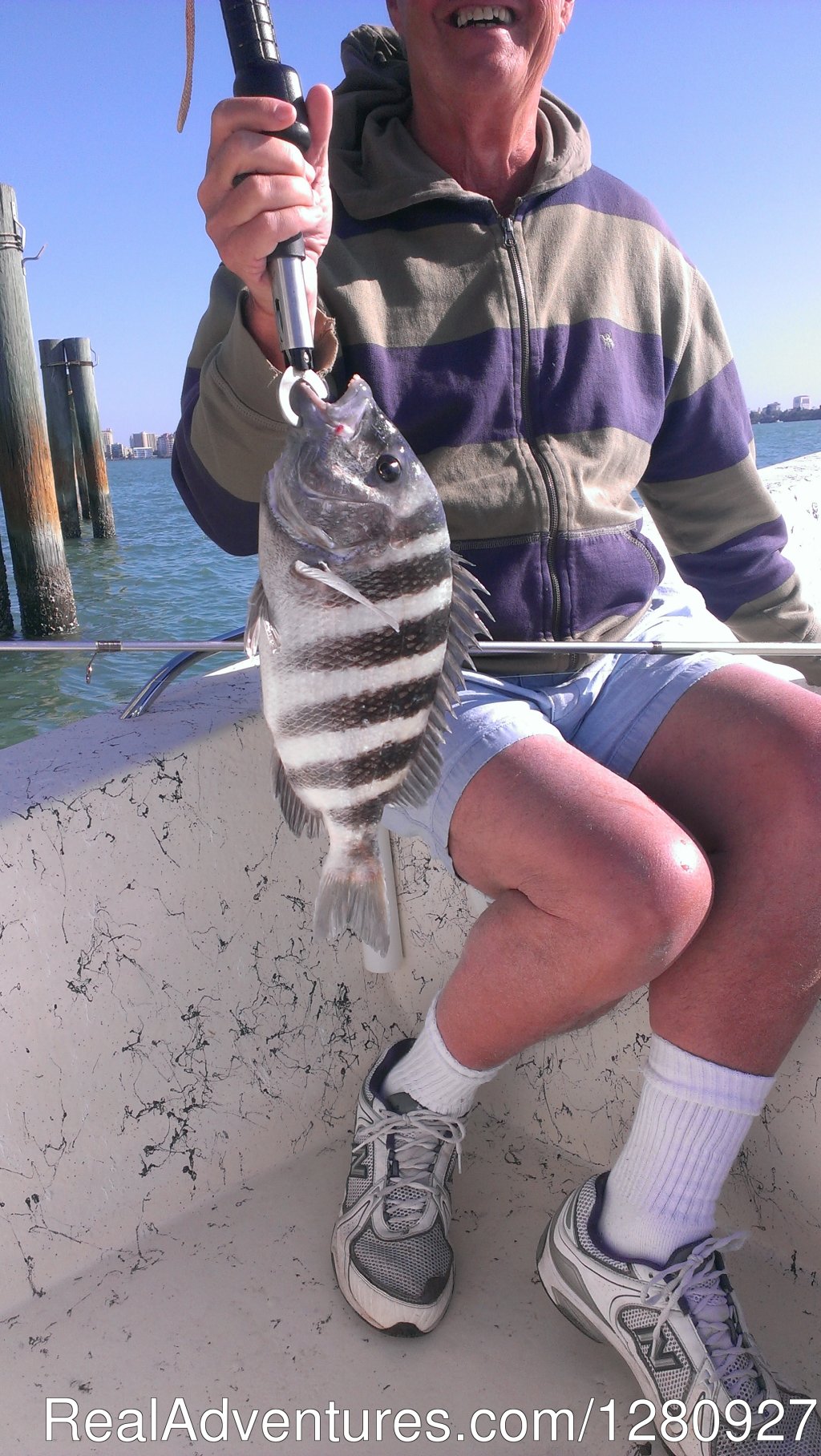 Sheepshead | Sarasota Florida Fishing | Image #2/3 | 