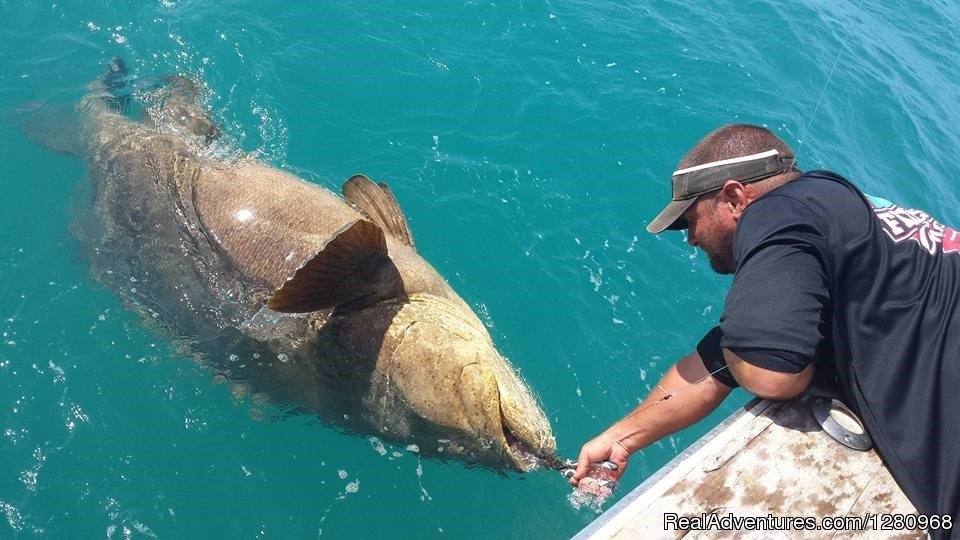 Fired Up Charters Goliath Grouper | Fired Up Fishing Charters | Image #9/13 | 