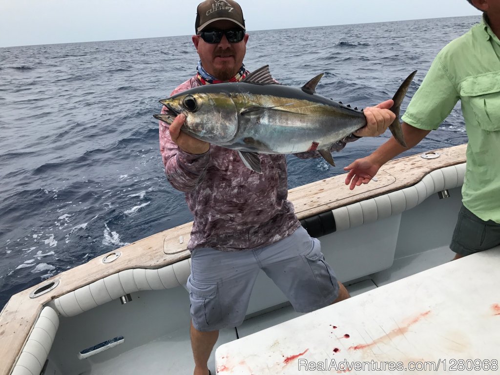 Fired Up Charters Blackfin Tuna | Fired Up Fishing Charters | Image #12/13 | 