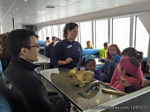 Naturalist on board | Harbor Breeze Cruises | Image #6/9 | 