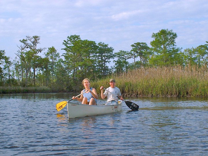 Cathead Creek | Altamaha Coastal Tours: Kayak-Canoe-Camp | Image #3/3 | 