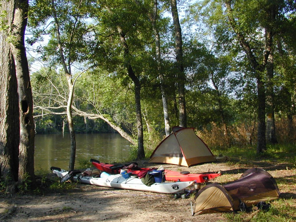 Lewis Island | Altamaha Coastal Tours: Kayak-Canoe-Camp | Image #2/3 | 