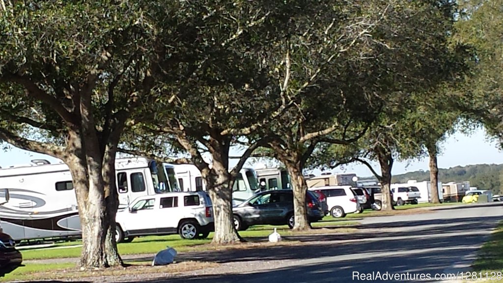 RV Park entrance | Grand Oaks Resort | Image #12/20 | 