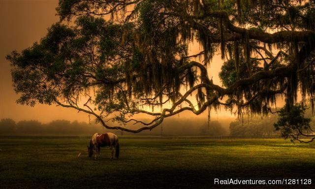 Beautiful nighttime views.  Come visit and enjoy | Grand Oaks Resort | Image #20/20 | 