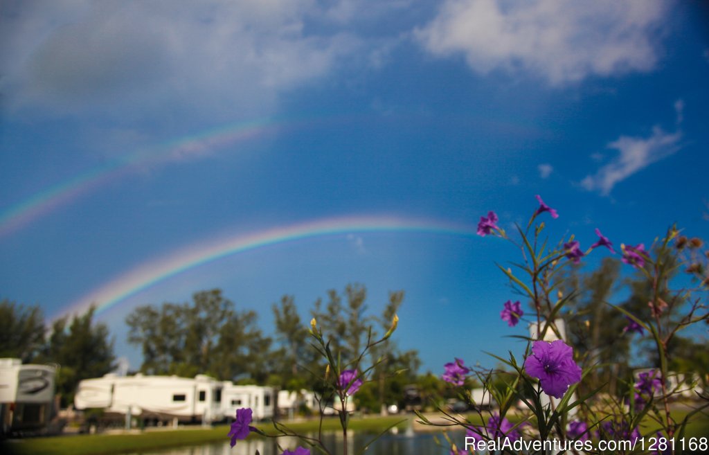 Rainbows Grace Buttonwood Inlet RV Resort. | Buttonwood Inlet RV Resort | Cortez, Florida  | Campgrounds & RV Parks | Image #1/1 | 