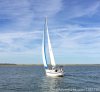 Sailing Charters At Compass Sailing, Llc | Savannah, Georgia