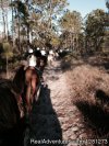 Gulfside Trail Rides, LLC | Santa Rosa Beach, Florida