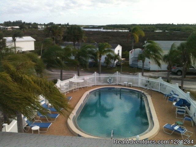 Heated Pool | Myakka River RV Resort | Image #2/3 | 