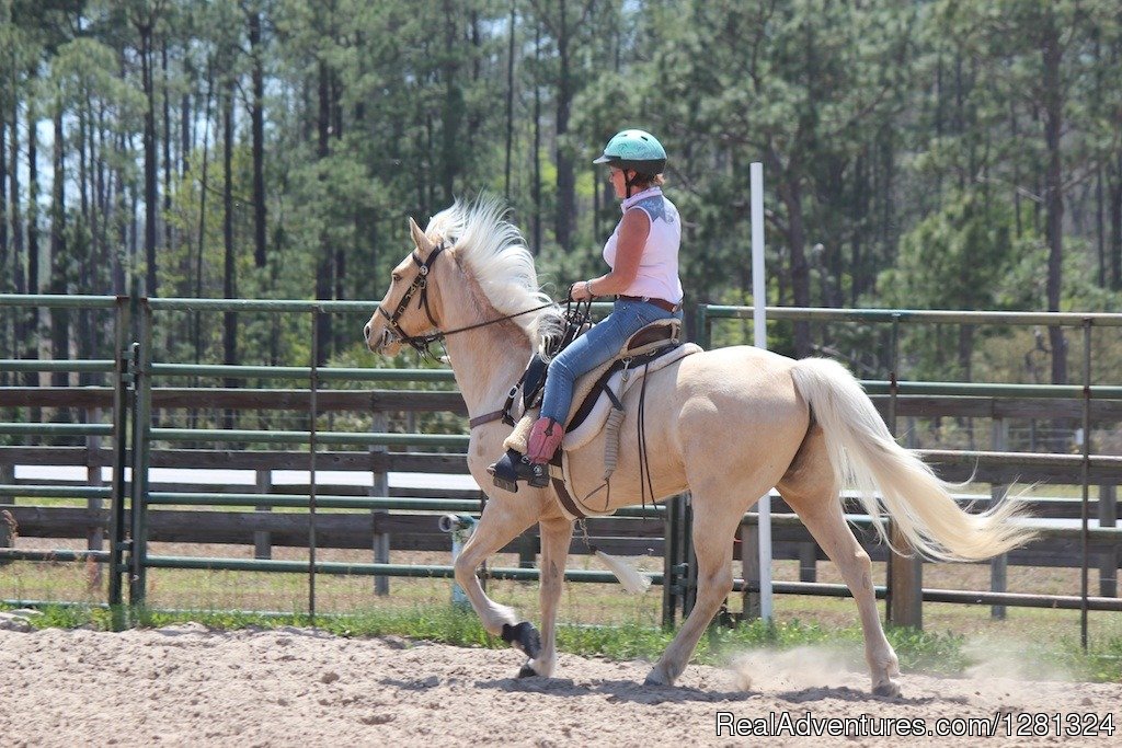 Taking a ride | Goethe Trailhead Campground | Image #9/10 | 