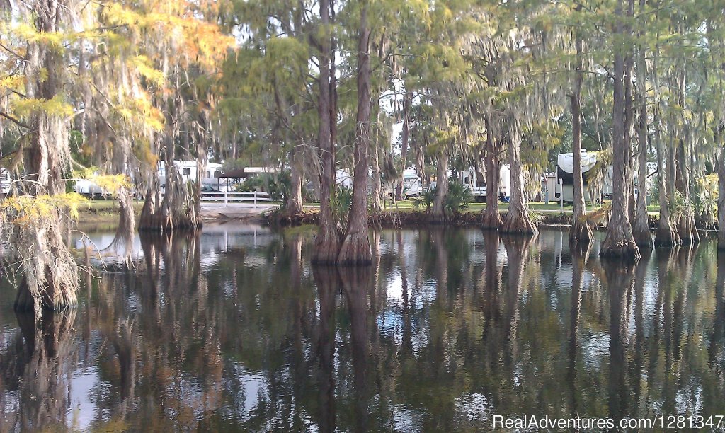 Orlando's Winter Garden RV Resort | Image #2/6 | 