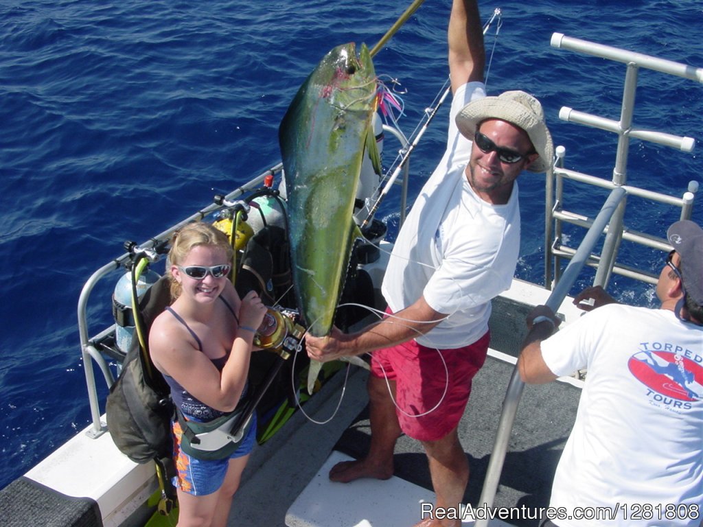 Gina's Mahi Mahi | Torpedo Tours | Image #3/6 | 