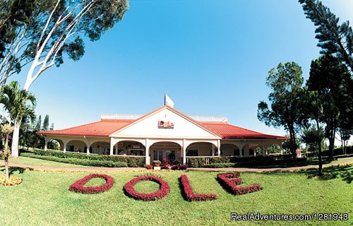 Dole Plantation | E Noa Tours | Image #2/6 | 