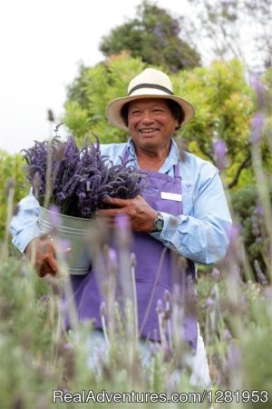 Ali'i Kula Lavender | Kula, Hawaii Sight-Seeing Tours | Great Vacations & Exciting Destinations