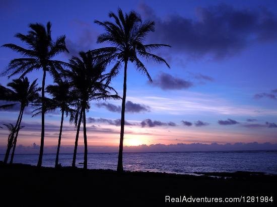 Kauai BeacH House Hostel Sunrise | Kauai Beach House Hostel | Kapaa, Hawaii  | Youth Hostels | Image #1/5 | 