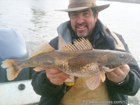 Lunker Illinois River Sauger