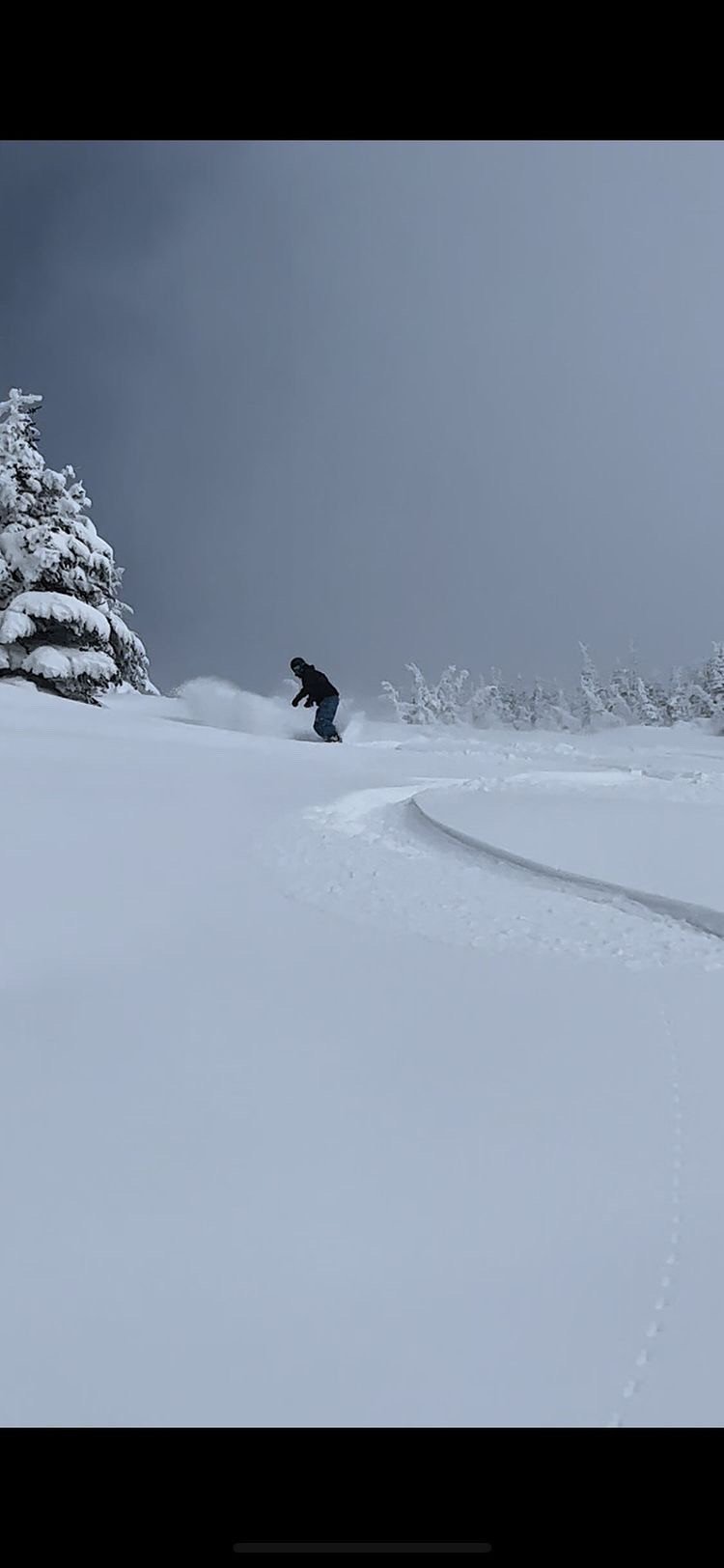 Cat Skiing | Selkirk Powder: Guides | Image #10/18 | 