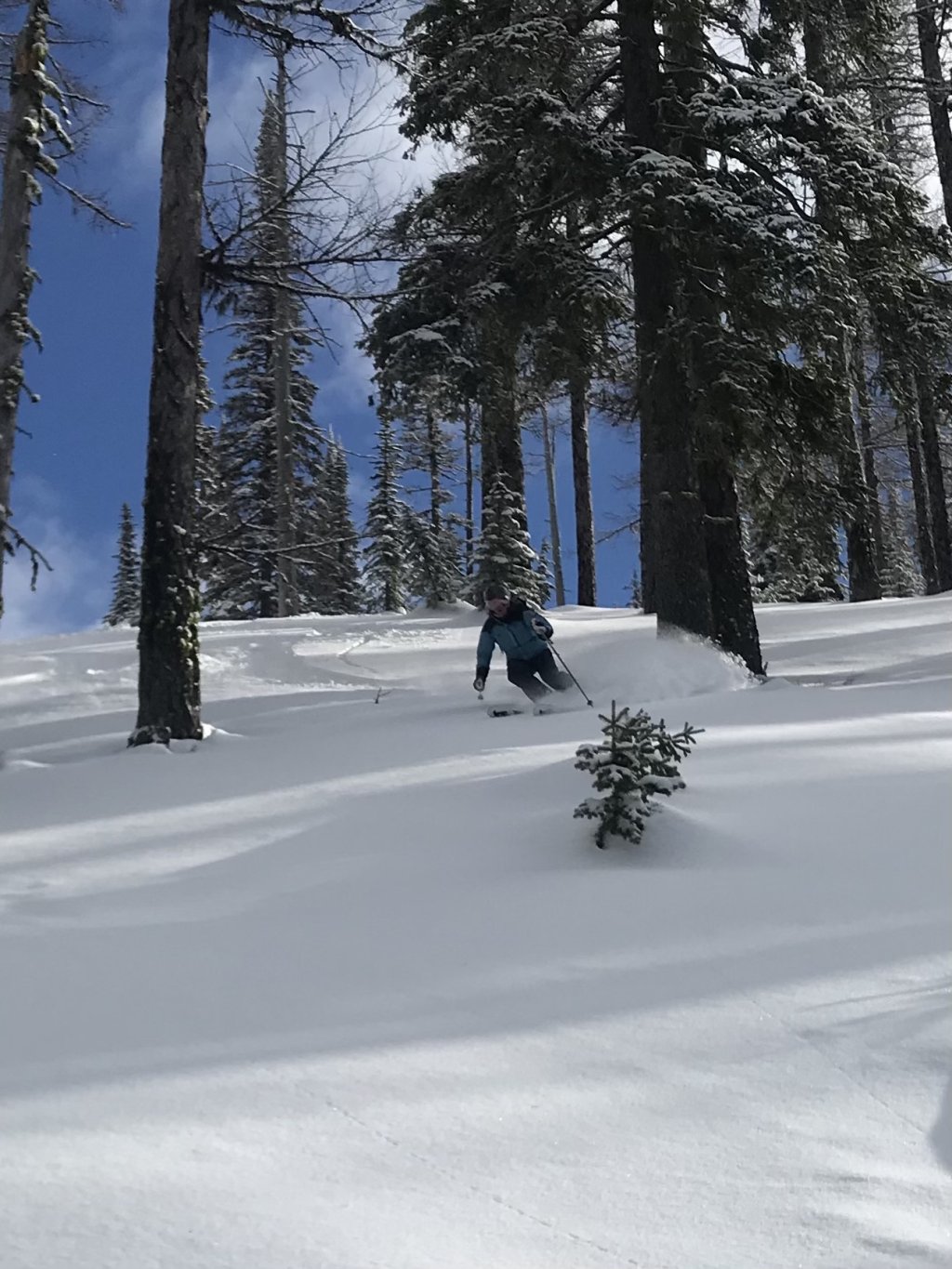 Cat Skiing | Selkirk Powder: Guides | Image #13/18 | 