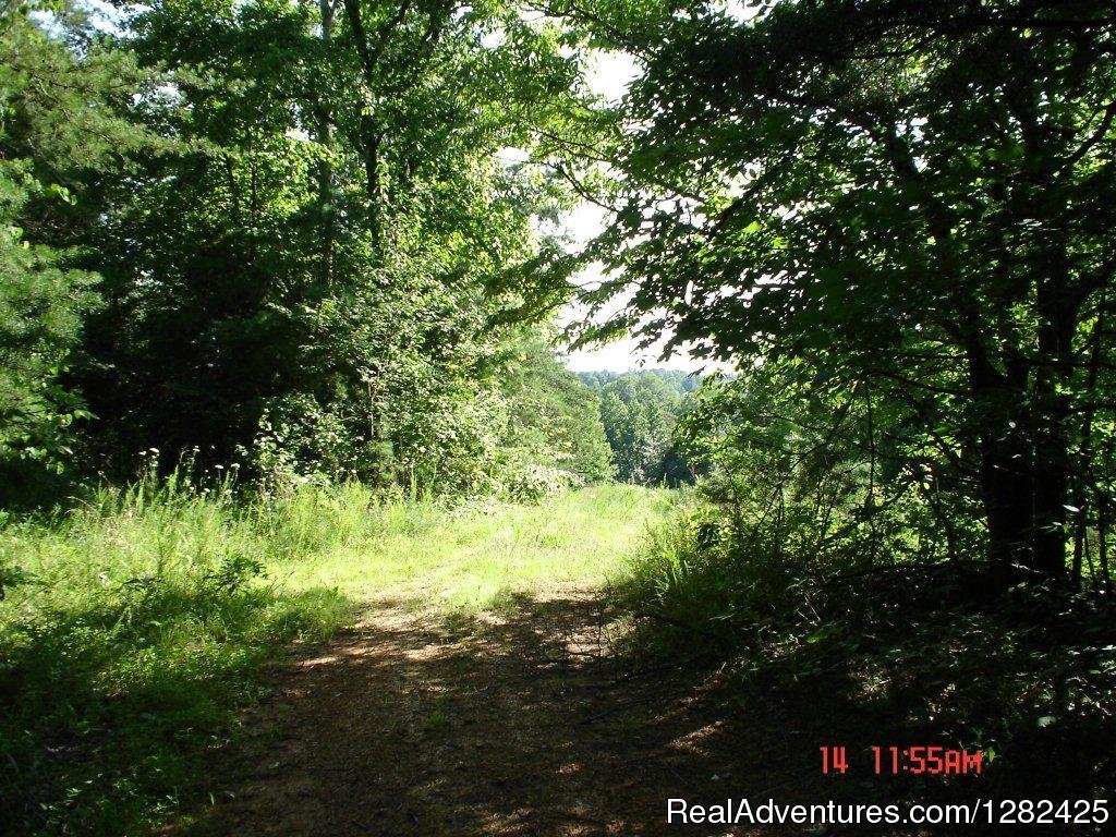 Walk in the woods. | Unique Lodging Hidden Cave Ranch Bed and Breakfast | Image #21/23 | 