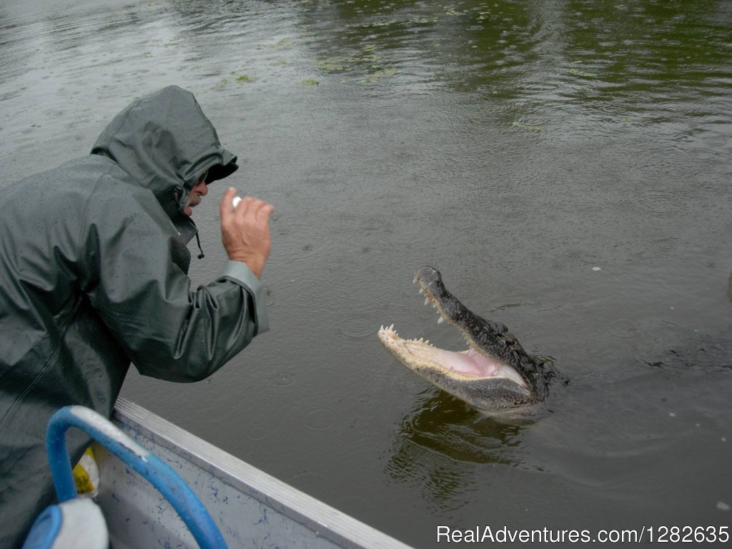 Smile Mr Gator | Louisiana Tour Company | Image #4/5 | 