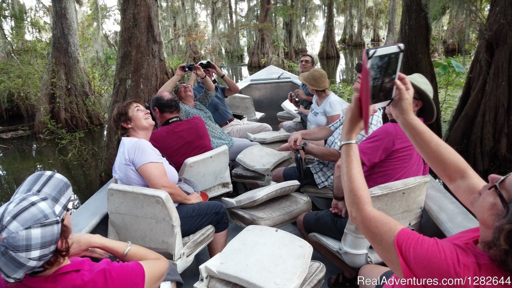 Eco-swamp tours at Cajun Country Swamp Tours | Breaux Bridge, Louisiana  | Cruises | Image #1/14 | 